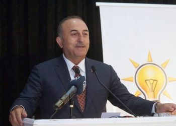 وزير الخارجية التركي: بلادنا هي أمل العالم!