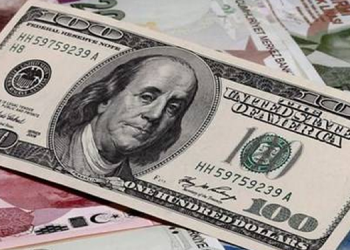 الدولار في تركيا يسجل أعلى مستوياته أمام الليرة خلال العام