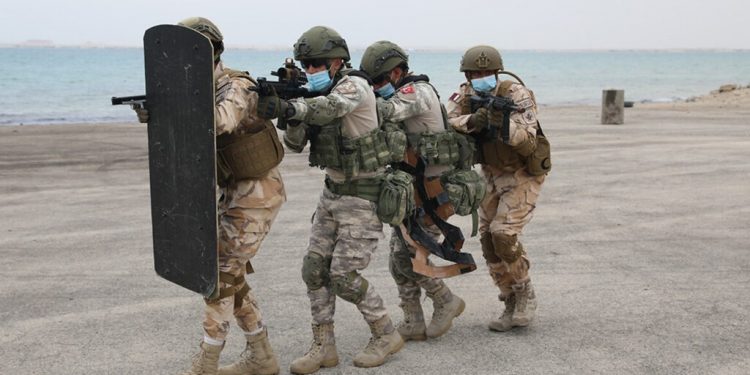 تفعيل قرار نشر قوات سلاح الجو القطري في تركيا