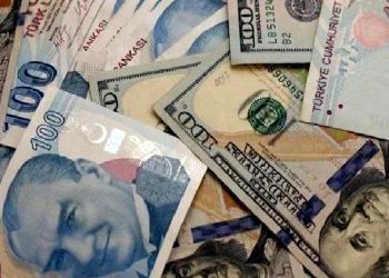 تركيا.. فوائد الودائع المؤمنة بالدولار تبلغ 15 مليار ليرة خلال شهر