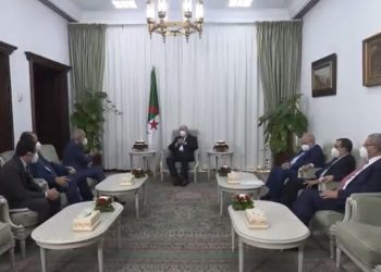 أبو الغيط يبحث مع الرئيس الجزائري التحضيرات للقمة العربية