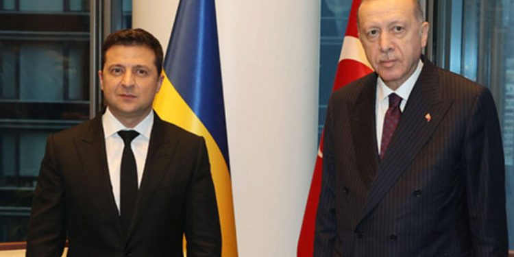 أردوغان يهاتف زيلينسكي بعد حل أزمة اتفاقية الحبوب