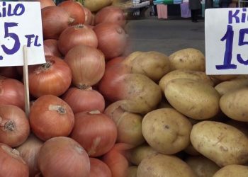 أسعار البطاطس والبصل في أدرنة تسجل ارتفاعًا ملحوظًا