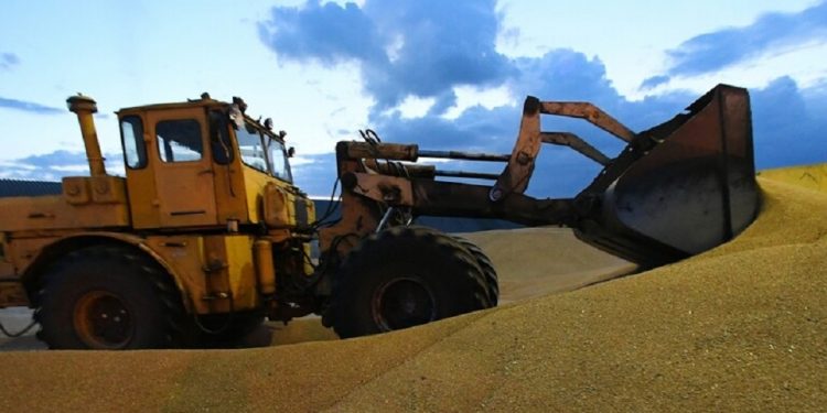 أردوغان يعلن رسميًّا تمديد صفقة الحبوب لمدة 120 يوما