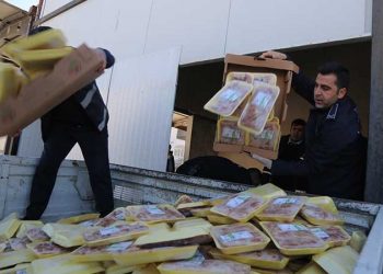تركيا.. 7 أطنان لحوم دجاج فاسدة في شانلي أورفا