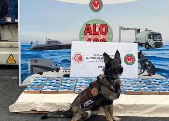 ضبط 56 كجم كوكايين في ميناء مرسين