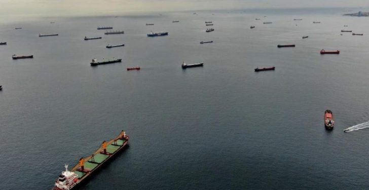 زيلينسكي: مئات السفن تنتظر في مضيق البوسفور