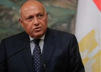 وزير خارجية مصر يزور أضنة ومرسين