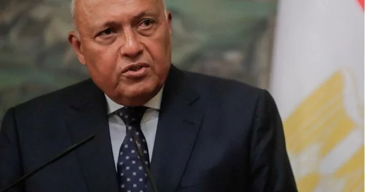 وزير خارجية مصر يزور أضنة ومرسين