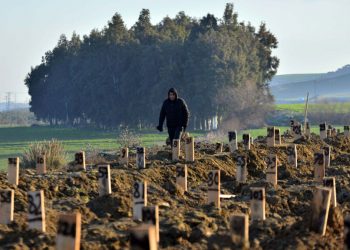 هل الإحصاءات الحالية تمثل العدد الحقيقي لوفيات زلزال تركيا؟