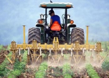 ارتفاع التضخم الزراعي في تركيا إلى 96٪ 