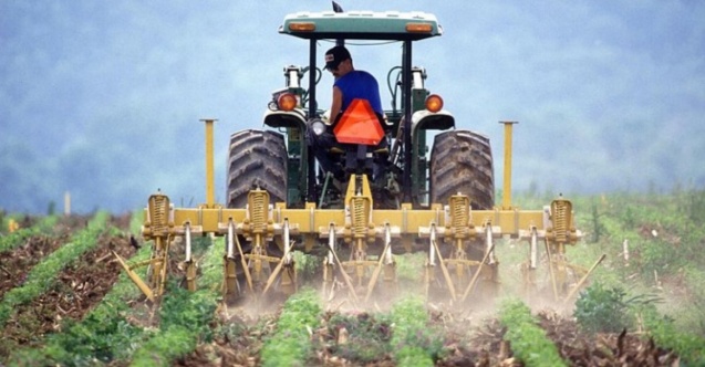 ارتفاع التضخم الزراعي في تركيا إلى 96٪