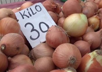 صحفي تركي: البصل أصبح رمزًا للانتخابات في تركيا