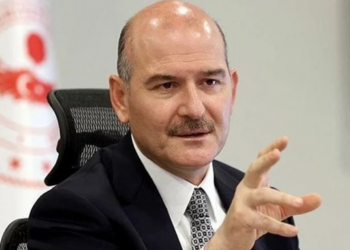 تركيا تعلن عدد الأجانب الذين حصلوا على الجنسية التركية