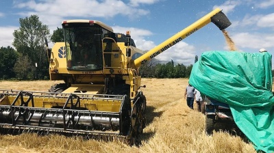 مؤشر خطر لانخفاض هطول الأمطار في تركيا