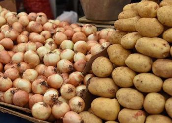 صحفي: الانتخابات التركية تعقد بين من يقول “وطن” و “بطاطس وبصل”!