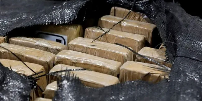 هولندا تضبط طن كوكايين قادمًا من تركيا