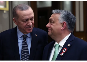 رئيس وزراء المجر: تركيا القوية مع أردوغان ستكون مفيدة لنا