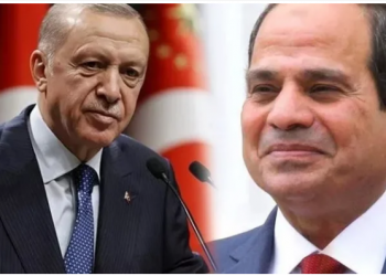 تقارير: توافق مصري وتركي بشأن تعيين السفراء  