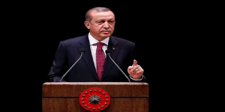 أردوغان: أثبتنا أن مزاعم الديكتاتورية محض هراء