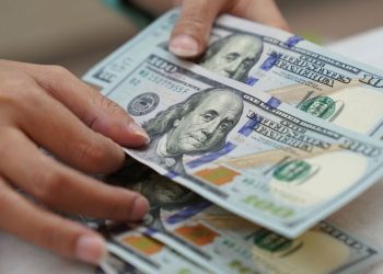 البنك المركزي التركي يحظر بيع الدولار قبل الانتخابات