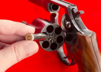 دولت بهجلي: محاولة التمرّد في روسيا تشبه لعبة الروليت الروسية