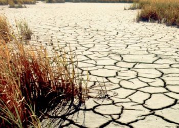 ثلاثة أرباع أراضي تركيا تواجه خطر التصحر