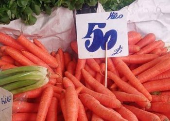 كيلو الجزر في تركيا يصل إلى 50 ليرة