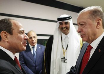 هل يؤجل السيسي زيارة تركيا؟