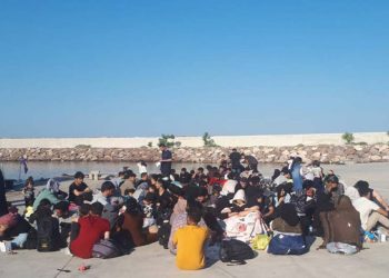 تركيا تعلن تعداد المهاجرين في 2023