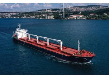 فاينانشيال تايمز: روسيا تخطط لإخراج أوكرانيا من سوق الحبوب