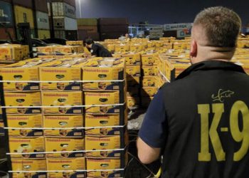 ضبط كوكايين في حاوية موز بميناء مرسين