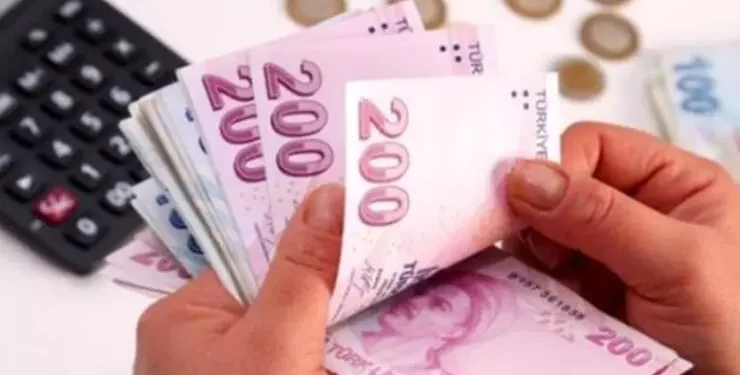 خبير اقتصادي: التضخم في تركيا سيبلغ 56%