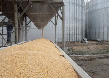 روسيا توقف العمل باتفاقية تصدير الحبوب