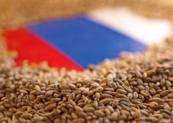 بيلد: روسيا توقع قريًبا اتفاقية حبوب جديدة مع تركيا وقطر