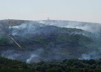 حريق غابات على الحدود التركية البلغارية