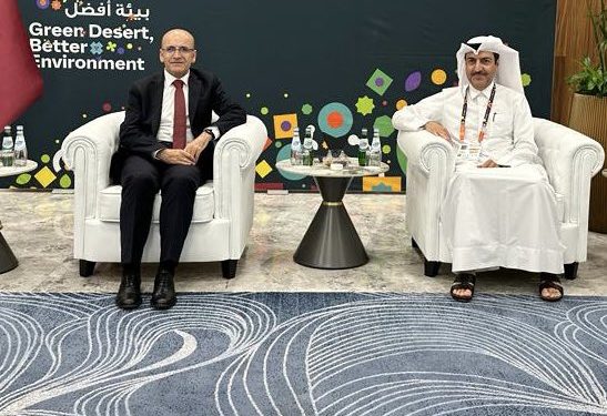 وزير المالية التركي: شرحنا الفرص الاستثمارية لرجال الأعمال في الخليج