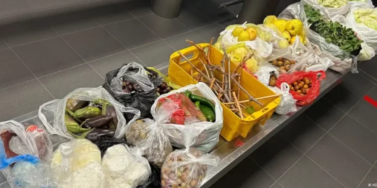 ألمانيا تصادر أغذية بحوزة ركاب أتراك لهذا السبب..