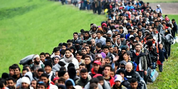 ارتفاع كبير في عدد الأتراك الذين يحاولون الهجرة إلى ألمانيا