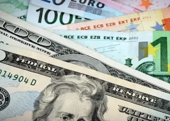 الدولار واليورو يسجل مستويات قياسية في تركيا