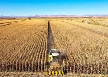 تضخم المدخلات الزراعية في تركيا يرتفع إلى 40.97% في سبتمبر