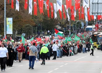 سلسلة بشرية بطول 3.5 كم في إسطنبول لدعم غزة