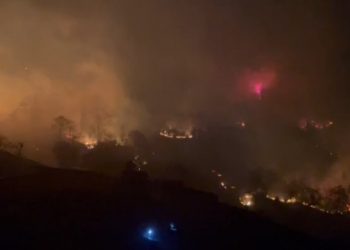 اندلاع حرائق غابات في طرابزون بسبب الرياح القوبة