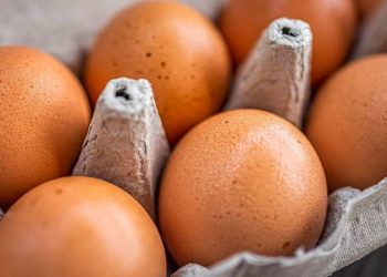 روسيا تنتظر البيض من تركيا للمساهمة في خفض الأسعار