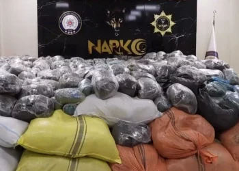 تركيا تعلن ضبط 4.6 طن من الماريجوانا في ولاية فان