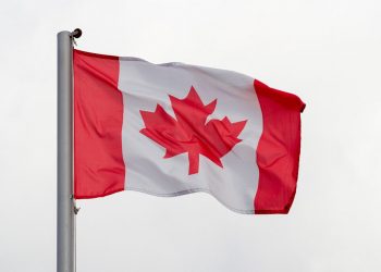 كندا ترفع حظر الأسلحة عن تركيا