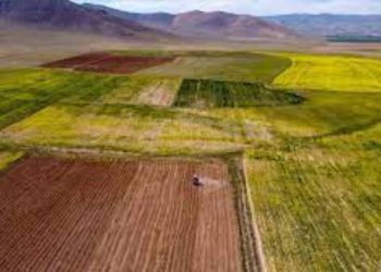 مبيعات العقارات العامة في تركيا تبلغ 4 مليار ليرة