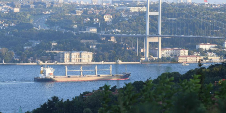 سفينة شحن تصطدم بسفينة ركاب ليبية في البوسفور