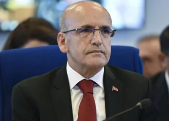 وزير المالية التركي: التضخم سينخفض في هذا التوقيت ..