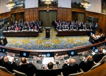 تفاصيل مرافعة مصر أمام العدل الدولية حول الانتهاكات الإسرائيلية